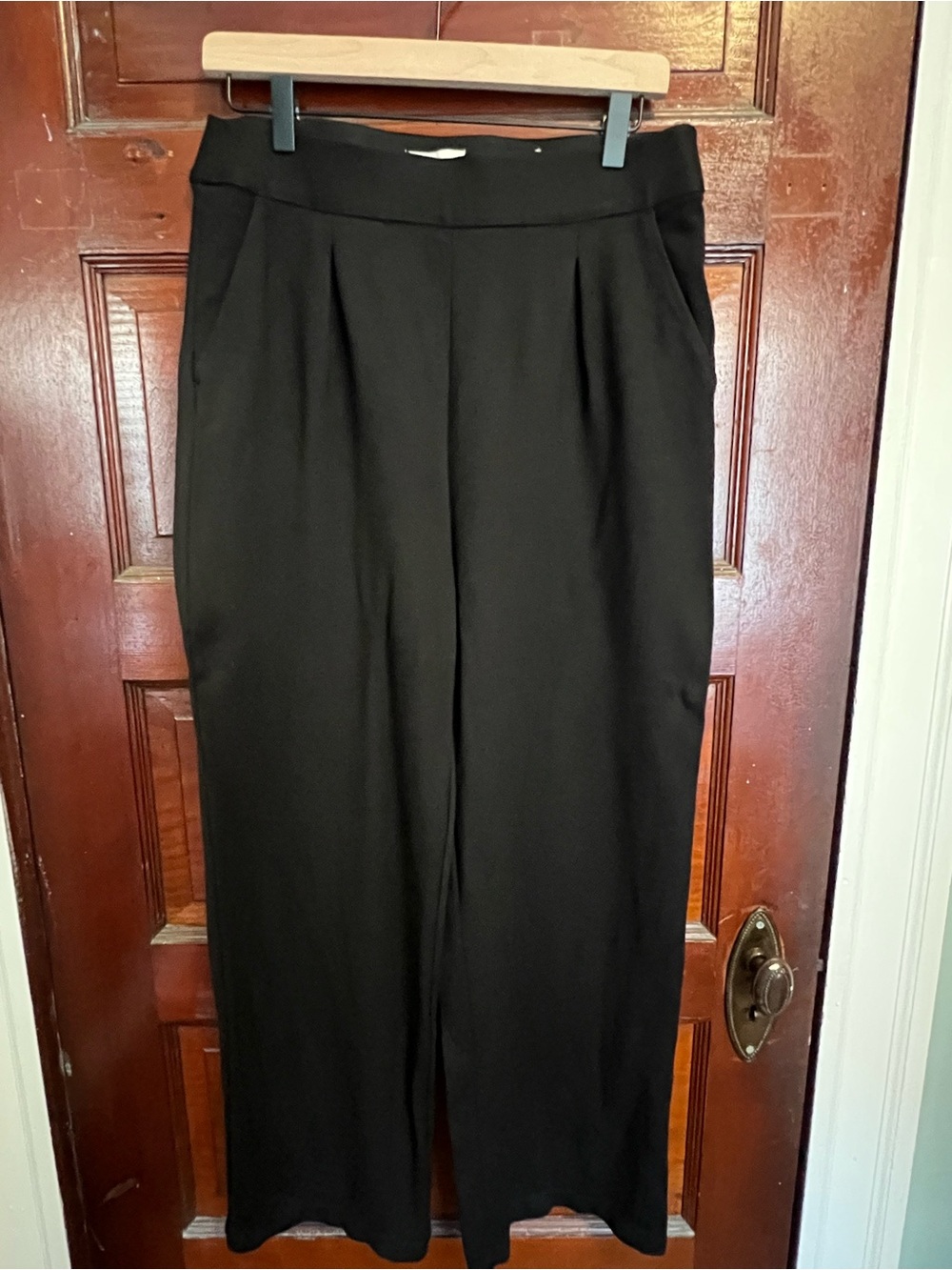 EUC- Max Studio Pull-On Pleated Front Wide-Leg Pants